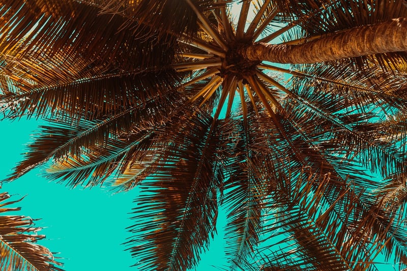 Tropical Island Paradise